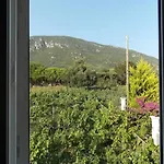 Corfu Sea Front Apartment, The Nest Case de vacanță *