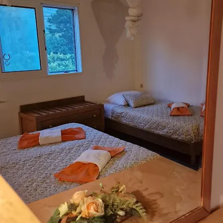 Semesterbostad Corfu Sea Front Apartment, The Nest *